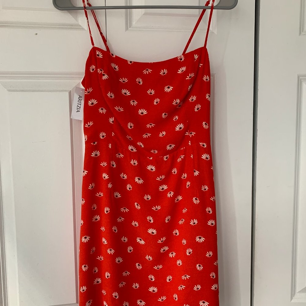Aritzia Dress (NWT)